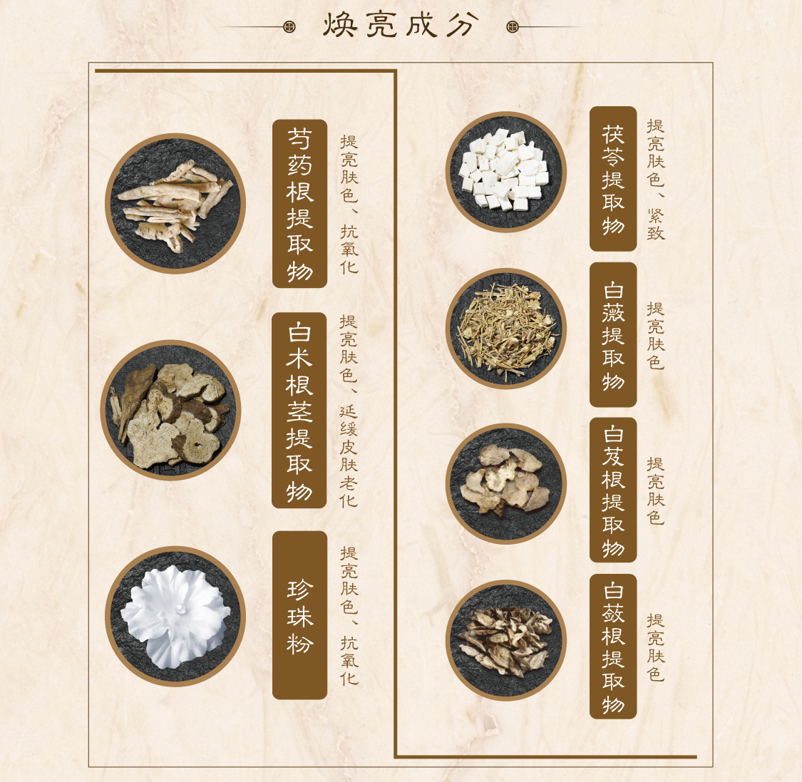 新生活集團(tuán)_新生活化妝品_漢娜尚妃_天地韻_晶容禮盒