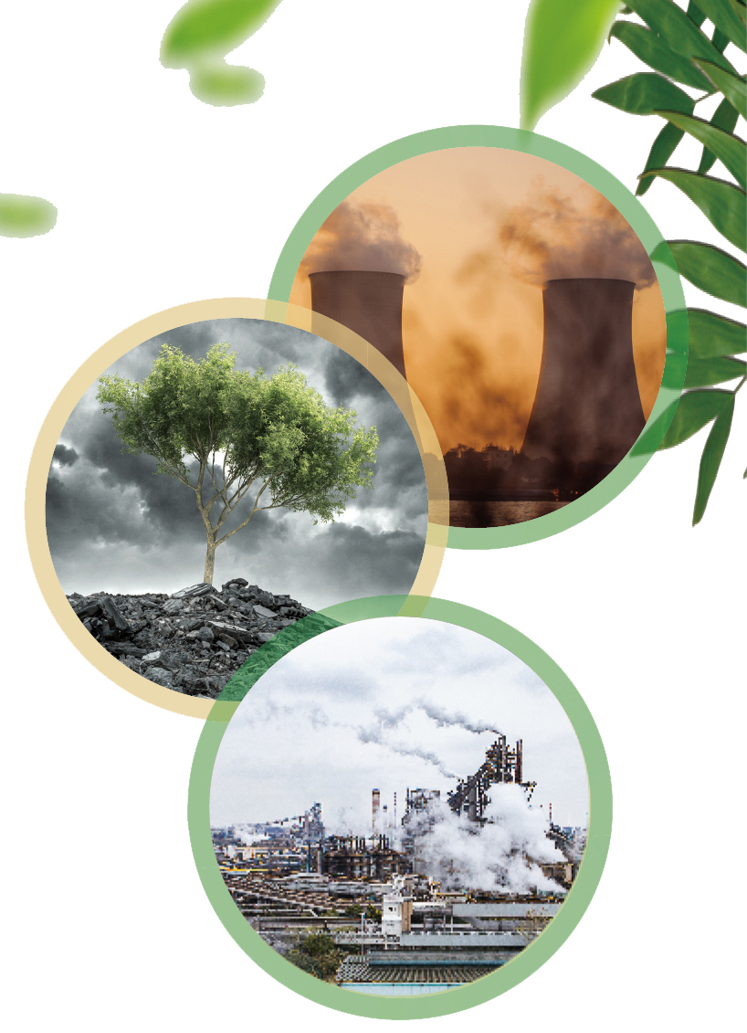 新生活_新生活集團(tuán)_新生活化妝品_伯拉_智能_空氣凈化器_空凈