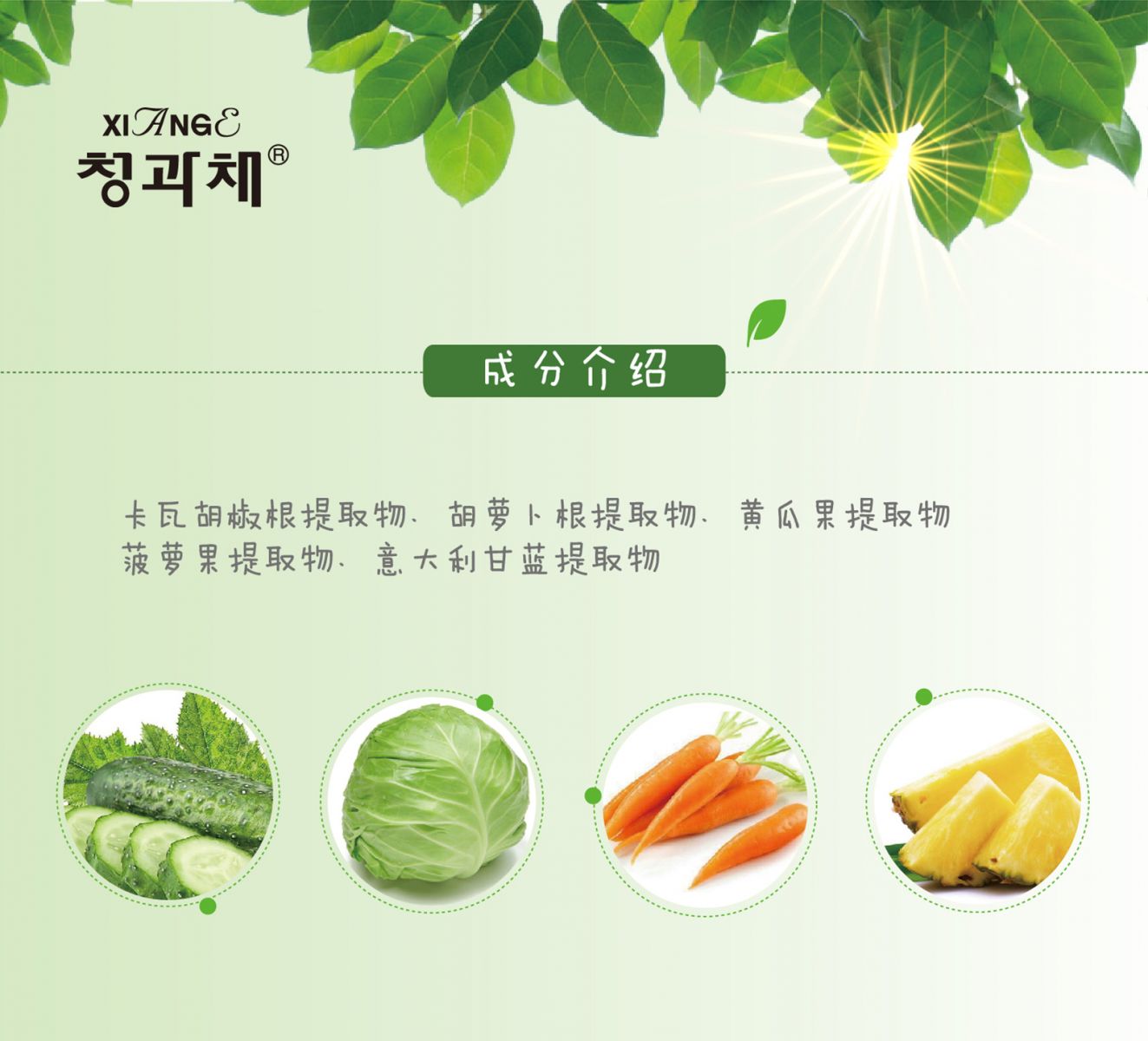 新生活_新生活集團(tuán)_新生活化妝品_相娥_青果菜_舒韻潤膚水