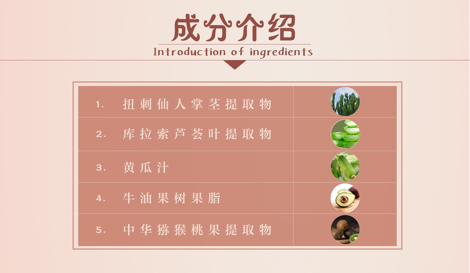 新生活_新生活集團_新生活化妝品_雪非雪_新顏_舒緩面膜