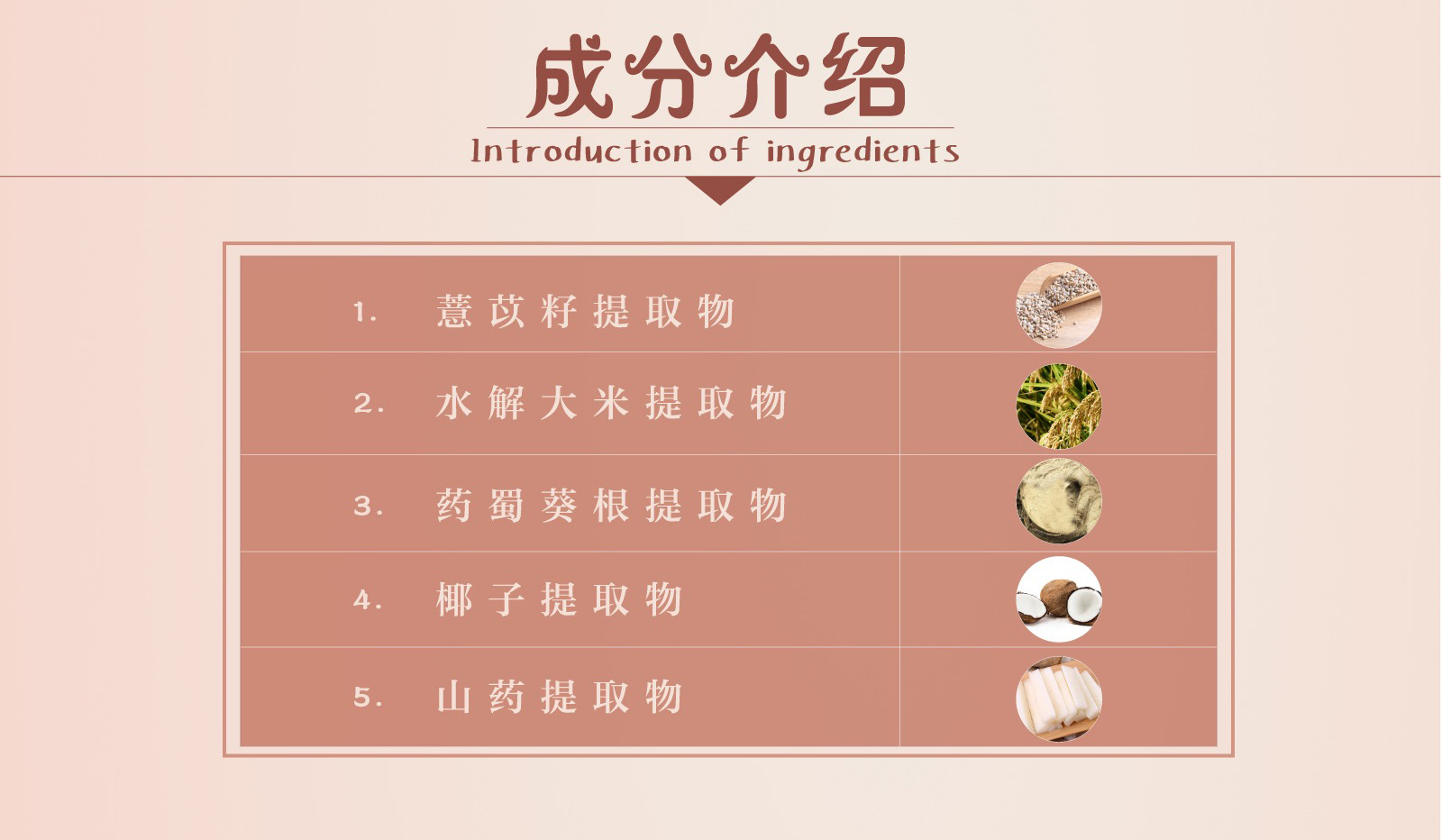 新生活_新生活集團_新生活化妝品_雪非雪_新顏_亮采面膜