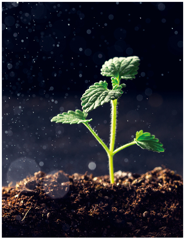 新生活_新生活集團(tuán)_新生活化妝品_雪非雪_新顏