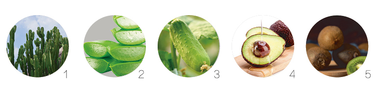 新生活_新生活集團(tuán)_新生活化妝品_雪非雪_新顏