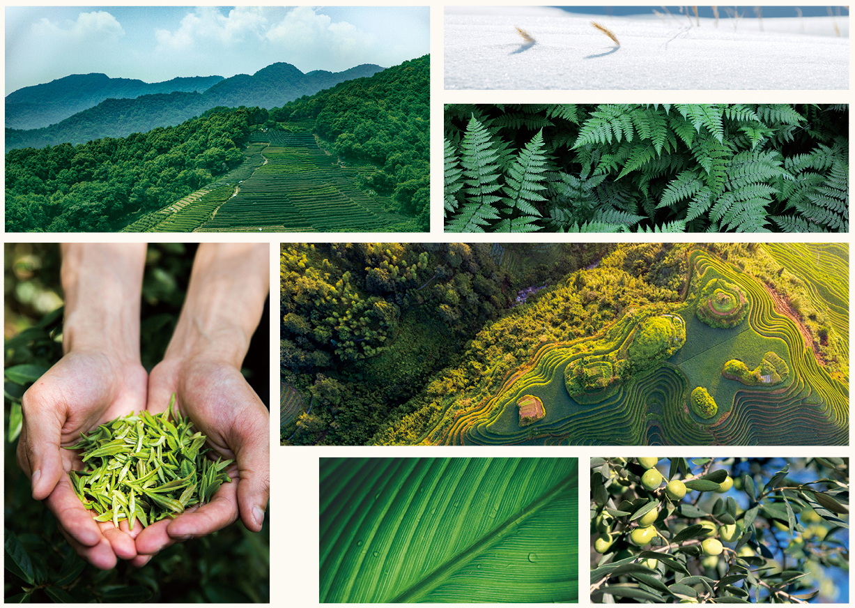 新生活_新生活集團(tuán)_新生活化妝品_雪非雪_新顏